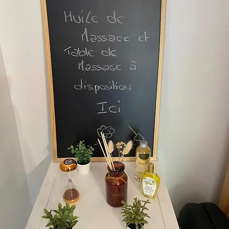 T2 Renove, Jaccuzi, Sauna, Sieges Massants, Jardin, Parking, Metro Toulouse