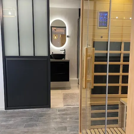 T2 Renove, Jaccuzi, Sauna, Sieges Massants, Jardin, Parking, Metro דירה טולוז