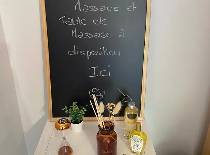 T2 Renove, Jaccuzi, Sauna, Sieges Massants, Jardin, Parking, Metro טולוז